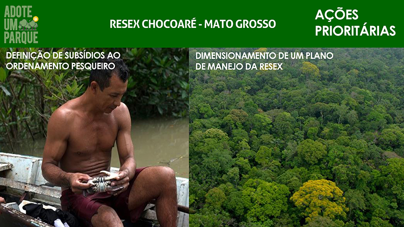 Ações Prioritárias da Geoflorestas dentro da Reserva Choaré-Mato Grosso