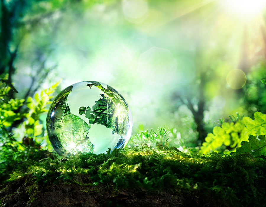 Soluções Ambientais Geoflorestas - Programas e Descarbonização pelo Programa Carbon Free e Pagamento por Serviços Ambientais